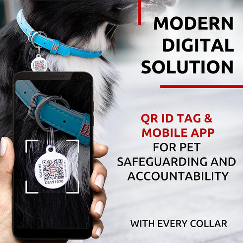 WAUDOG Ultra Soft Rolled Leather Collar for Small, Medium, and Large Dogs, Padded Puppy Collar for Male and Female