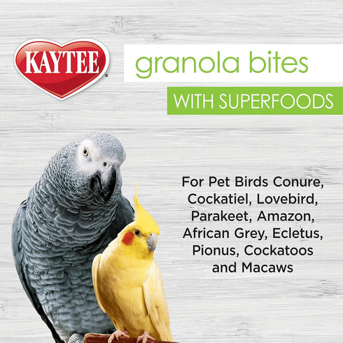 Kaytee Granola Bites with Super Foods Spinach and Kale for Pet Birds, 4.50 Ounce (Pack of 1)