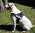 Doggie Stylz Set of 2 Reflective Blind Dog Removable Patches, Durable and Interchangeable for Harnesses & Vests.