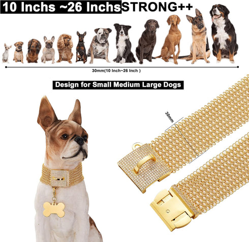 Dog Chain Collar Necklace 18K White Gold Plated Stainless Steel with Bling Bling CZ Design Secure Buckle (Gold, 14")
