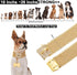 Dog Chain Collar Necklace 18K White Gold Plated Stainless Steel with Bling Bling CZ Design Secure Buckle (Gold, 14")