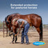 Farnam EQUI-SPOT Spot-on Protection for Horses, 6 Week Supply, 0.34 Fl Oz