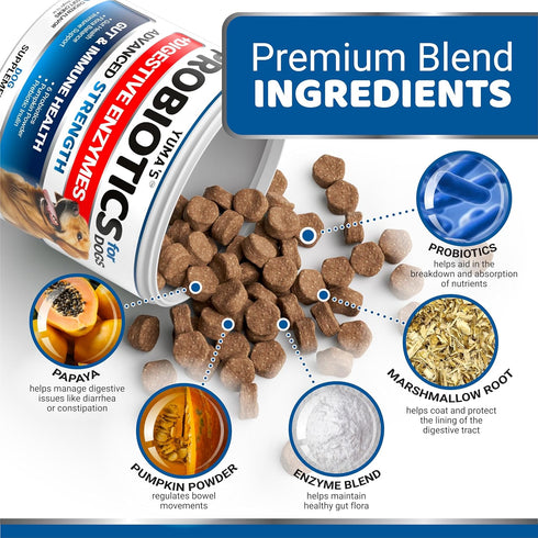 Probiotics for Dogs - 170 Dog Probiotics Chews for Digestive Health, Anti Diarrhea & Gas Relief