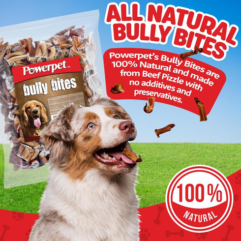 Treats Bully Stick Bites - Delicious Dog Treats - All Natural, Long-Lasting Chews, High Protein, Grain-Free, Rawhide-Free - Odorless - Promotes Dental Health, Ideal for All Chewers - 1lb Pack