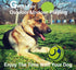 Wobble Giggle Ball Dog Toy, Squeaky Interactive Chewing Ball for Training, Indoor Outdoor Use