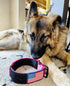 Heavy Duty Tactical Dog Collar 2 Inch Wide with Metal 2-Pin Belt Buckle for Medium, Large & XL Dogs, Reflective, USA