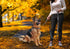 Tuff Pupper Extreme Reflective Dog Leash | Heavy Duty Double Handle for Strong Dogs | 6 Foot Leash