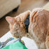 Tile Sticker Cat Collar Holder, Smallest and Lightest Tracking Case for Cats, GPS for iPhone Samsung Android