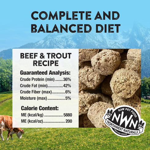 Omega-3 25 Oz Northwest Naturals Freeze-Dried Beef & Trout Dog Food - Bite-Sized Nuggets - Grain-Free, High-Protein