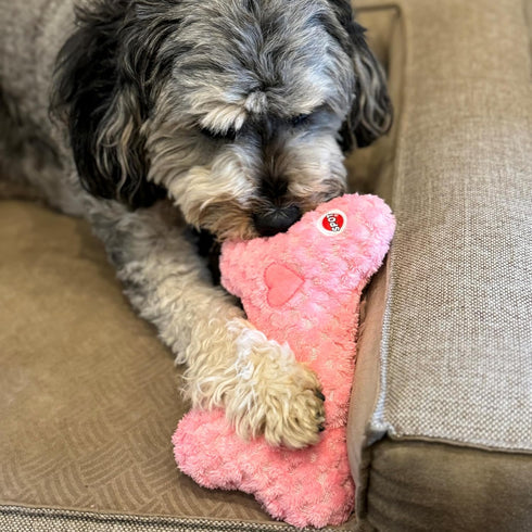 SPOT Soothers Warm Hug Bone, Calming Plush Dog Toy with Lavender Beads for Small to Medium Dogs