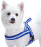 Blueberry Pet 3M Reflective Jacquard Padded Dog Harness, 21.5" - 27.5" Chest Girth, Palace Blue, S/M