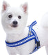 Blueberry Pet 3M Reflective Jacquard Padded Dog Harness, 21.5" - 27.5" Chest Girth, Palace Blue, S/M