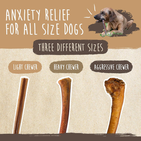 Mighty Paw Naturals Bully Sticks for Dogs - 12" Grass Fed Beef Chews, Lower Odor, 5 Pack for Large, Medium & Small