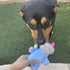 Jalousie Multipack Dog Squeaky Toys, Strong Almost Indestructible Chew Toys with Added Liner for Longer Play (Medium