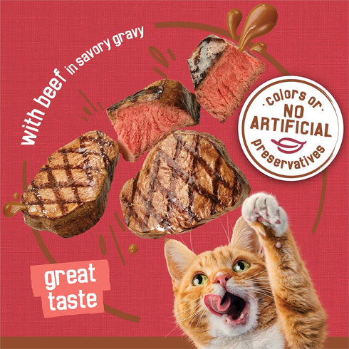 5.5 oz. Cans,(Pack 48) Friskies Purina Extra Gravy Wet Cat Food Chunky with Beef in Savory Gravy