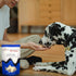 Nordic Catch Freeze Dried Fish Pet Treats from Iceland - Pure, All Natural Seafood Snacks for Dogs, Cats and Other Pets