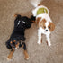 wegreeco Washable Dog Diapers - Pack of 3 Male Dog Belly Wraps (Black, Blue, Olive, Medium)