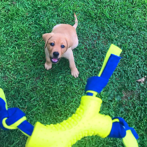 Nylabone Power Play Shake-a-Toss Interactive Fetch Toy for Dogs, Small (1 Count)
