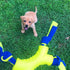 Nylabone Power Play Shake-a-Toss Interactive Fetch Toy for Dogs, Small (1 Count)