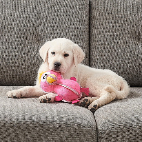 Outward Hound Xtreme Seamz Flamingo - Durable Squeaky Dog Toy