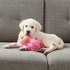 Outward Hound Xtreme Seamz Flamingo - Durable Squeaky Dog Toy