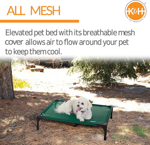 K&H Pet Products Elevated Outdoor Dog Cot Bed, Medium Green, Washable Breathable Mesh, Heavy Duty Frame
