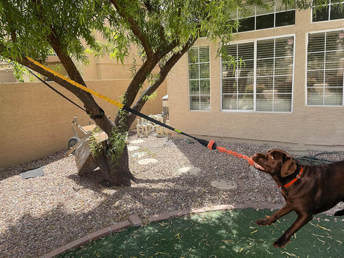Jalousie Dog Bungee Toy, 20.35 ft Reinforced Interactive Toy with Two Replacement Rope Toys