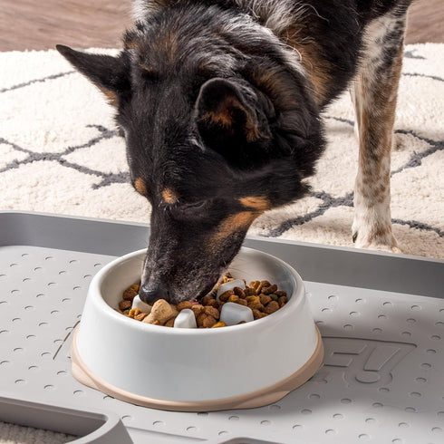 IRIS USA 4-Cup Slow Feeder Dog Bowl, Anti-Choking & Anti-Slip for Healthy Digestion