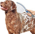 Waterpik Pet Wand Pro Dog Shower Attachment for Fast and Easy Dog Bathing, Indoor and Outdoor Sprayer, Includes 8-Foot