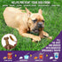 Chew King Dog Bacon Lovin’ Wishbone, Textured Nylon Bones, Bacon Flavored Chew Toy for All Breed Sizes