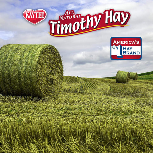 24 oz Kaytee Timothy Hay Plus Carrots for Pet Guinea Pigs, Rabbits & Other Small Animals