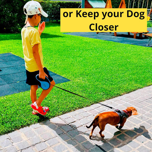Dog Leash - Retractable Leash for Pets, Puppies, Small and Medium Breeds, Tangle Free 16FT Extendable Leash with
