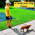 Dog Leash - Retractable Leash for Pets, Puppies, Small and Medium Breeds, Tangle Free 16FT Extendable Leash with