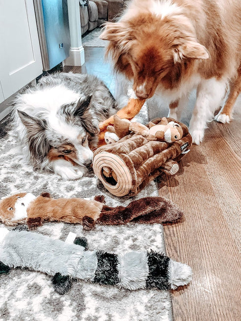 ZippyPaws Burrow- Interactive Dog & Puppy Toys for Boredom, Stimulating Pet Products to Keep them Busy, Hide & Seek