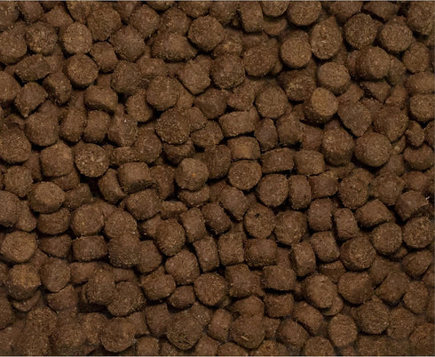 Wysong Anergen Canine/Feline Formula Dry Food - 5 Pound Bag