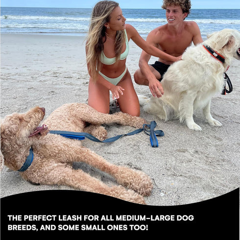 Black Rhino 6 ft Long Heavy Duty Dog Leash, Traffic Handle for Medium and Large Dogs, Padded Neoprene Dual Handles