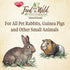 1 Kaytee Food from The Wild Natural Snack for Pet Rabbits, Guinea Pigs And Other Small Animals, Ounce