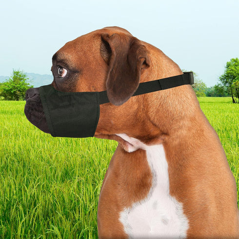Walk-About Quick-Fit Short Snout Adjustable Dog Muzzle Four Paws for Medium Dogs, Washable & Breathable, Black, 1 Count