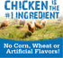 Nutri Source TU80020 Soft & Tender Chicken Treats for Dogs, 14 oz