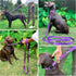Tuff Pupper Heavy Duty Dog Leash with Double Handle, Reflective Safety Locking Carabiner for Medium & Large Dogs