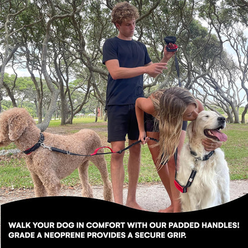 Black Rhino 6 ft Long Heavy Duty Dog Leash, Traffic Handle for Medium and Large Dogs, Padded Neoprene Dual Handles