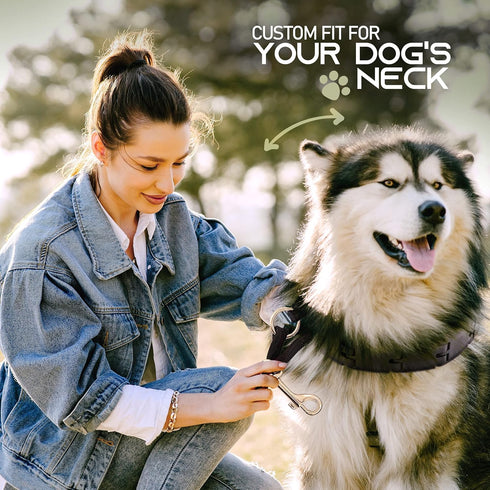 Ram-Pro Large Dog Training Pinch Collar, Gentle Effective/No Barking Control for All Breeds