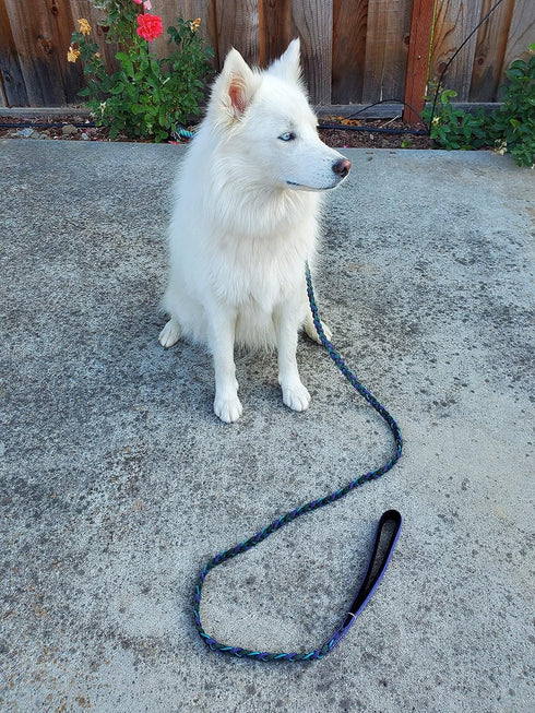 Blazing Paws Vibrania 6 Ft Super Soft Braided Leather Dog Leash, Heavy Duty with Side Ring, Teal Green Blue