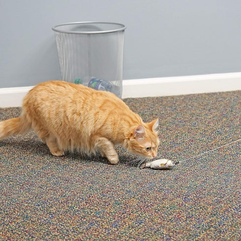Fairly Odd Novelties Cat Fishing Pole Toy, Funny Interactive Fish Toy for Cats, Kittens, and Small Pets, Multi-Colored