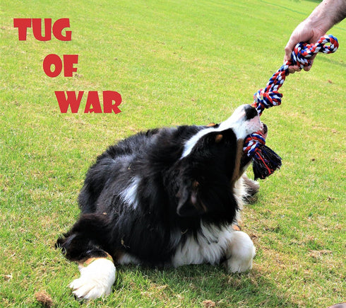 Dog Cotton Rope Toys Set for Medium and Large Dogs - Almost Indestructible, Washable Dental Floss, Tough Tug of