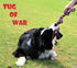 Dog Cotton Rope Toys Set for Medium and Large Dogs - Almost Indestructible, Washable Dental Floss, Tough Tug of