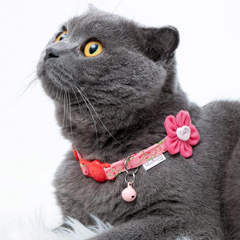 Blueberry Pet Pack of 2 Adjustable Breakaway Cat Collars, Lovely Cherry and Floral Prints with Flower & Bell, Neck