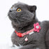 Blueberry Pet Pack of 2 Adjustable Breakaway Cat Collars, Lovely Cherry and Floral Prints with Flower & Bell, Neck
