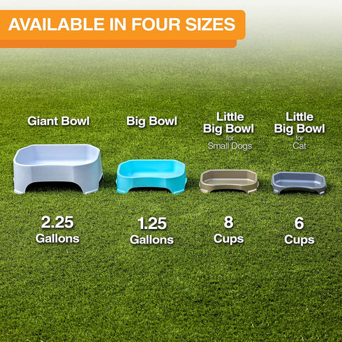 Neater Pet Brands Big Bowl, Extra Large Bowl for Cats or Small Dogs, 8 Cups Capacity, Gunmetal Grey