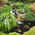 Tetra Pond AlgaeControl, 16.9 Ounces for Ornamental Outdoor Ponds and Fountains